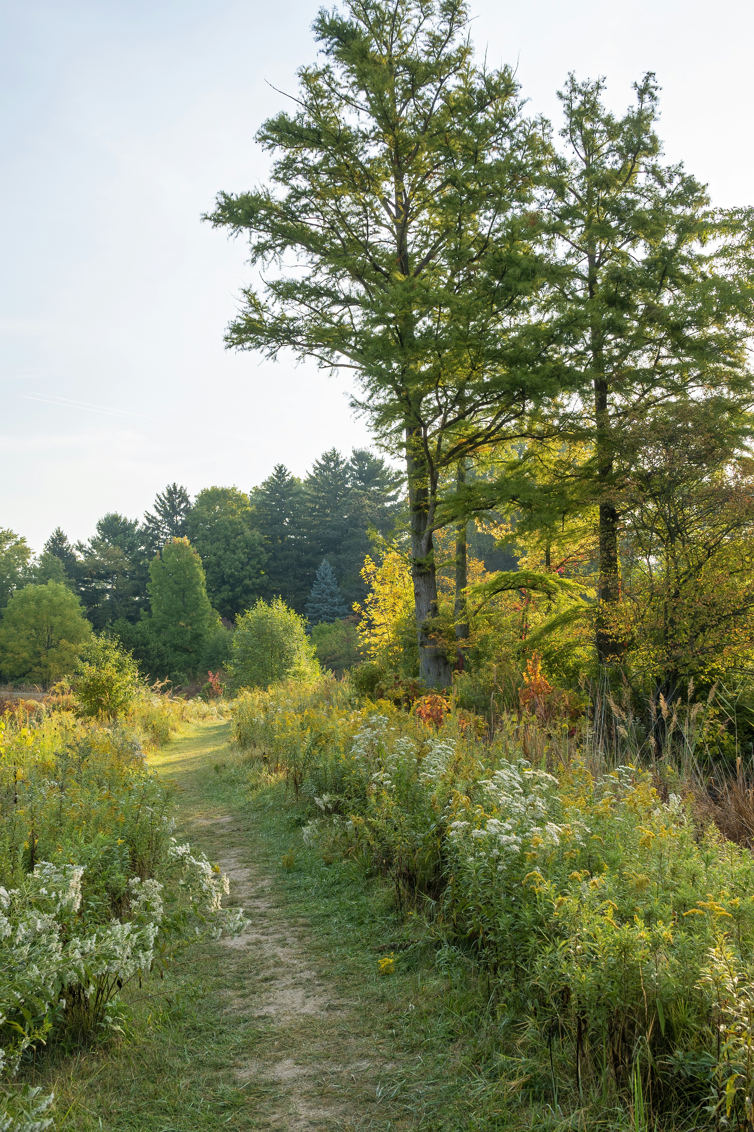 Photo by cholewinski