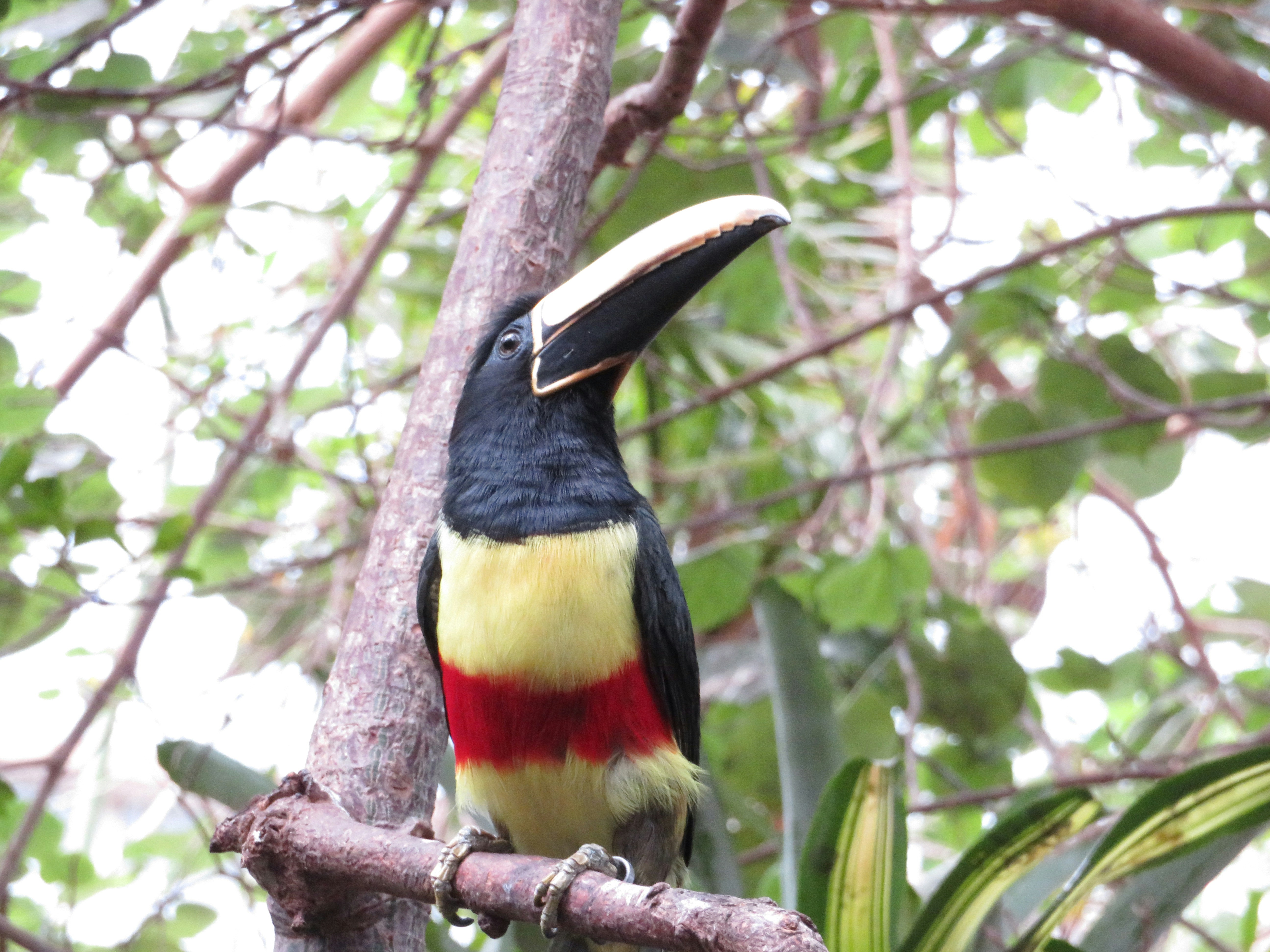 Photo by marcie_kennedy