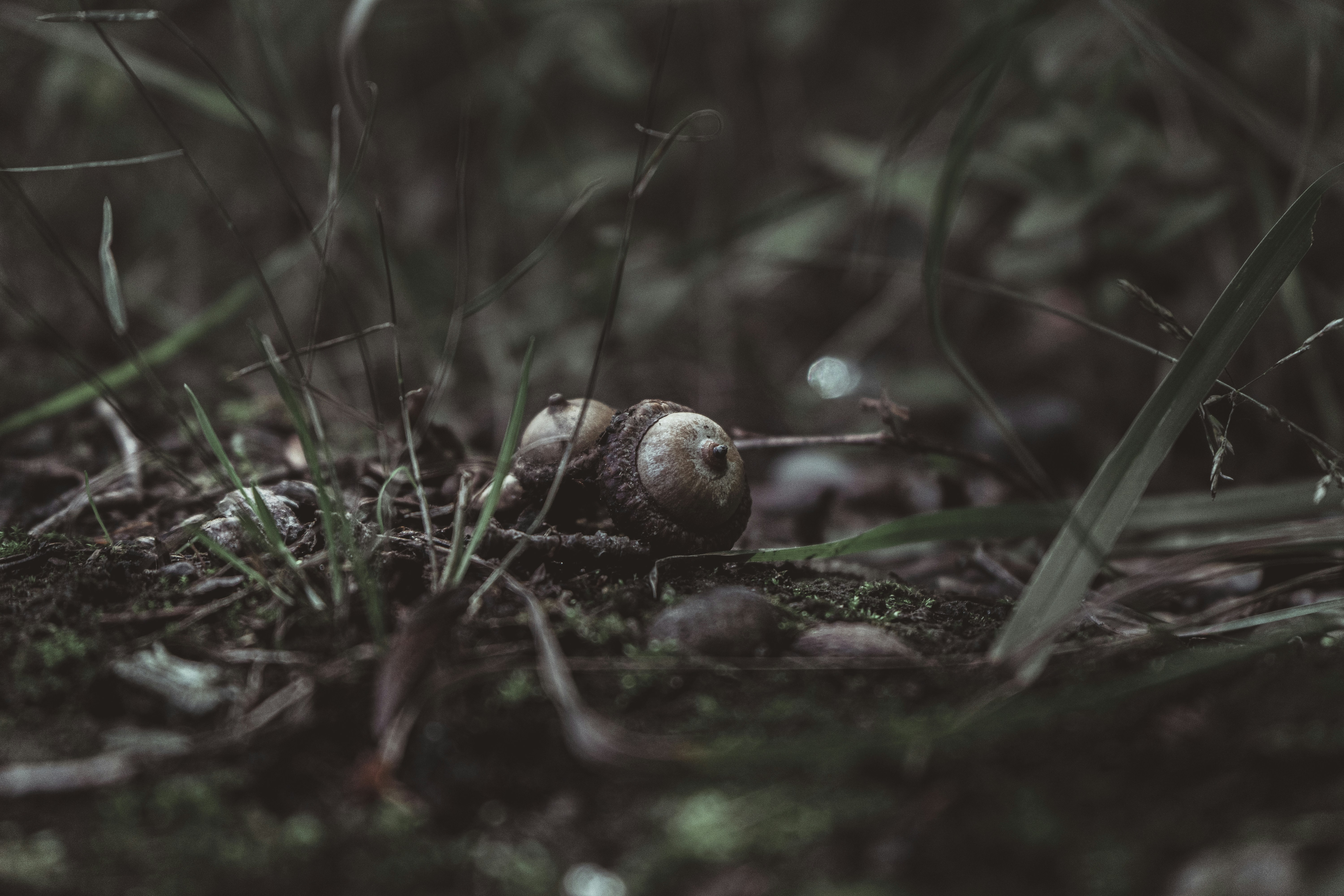 Photo by 8bitago