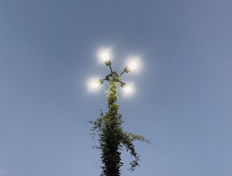 Various solar-powered outdoor lights arranged in a garden setting at dusk.