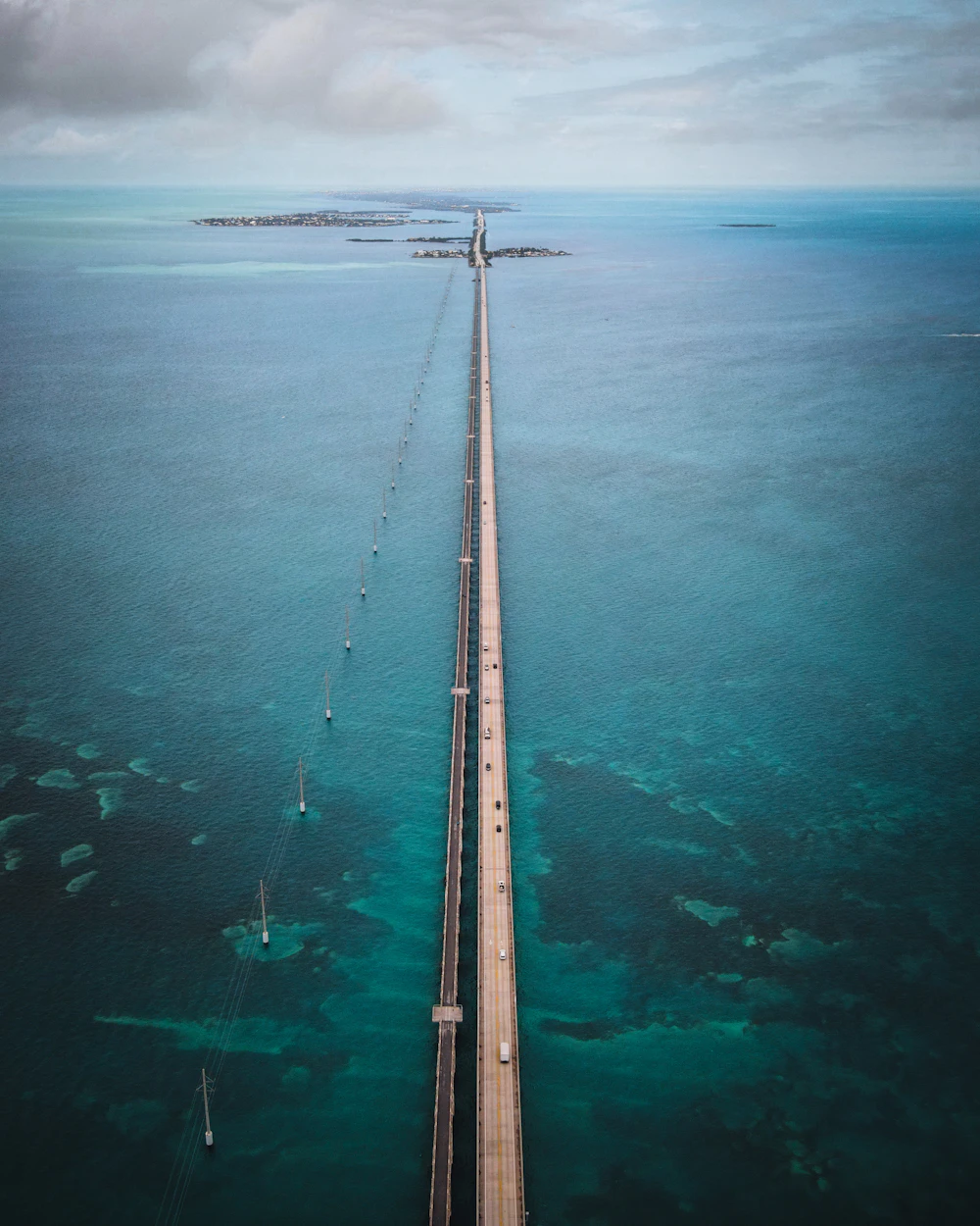Turquoise shallows and palm-lined shoreline in the Florida Keys