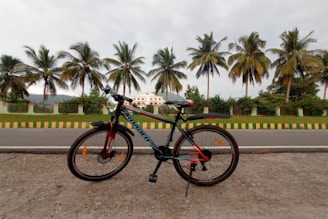 A bicycle is parked on a roadside with palm trees and a large white building in the background. The setting appears to be tropical with cloudy skies and a scenic landscape.