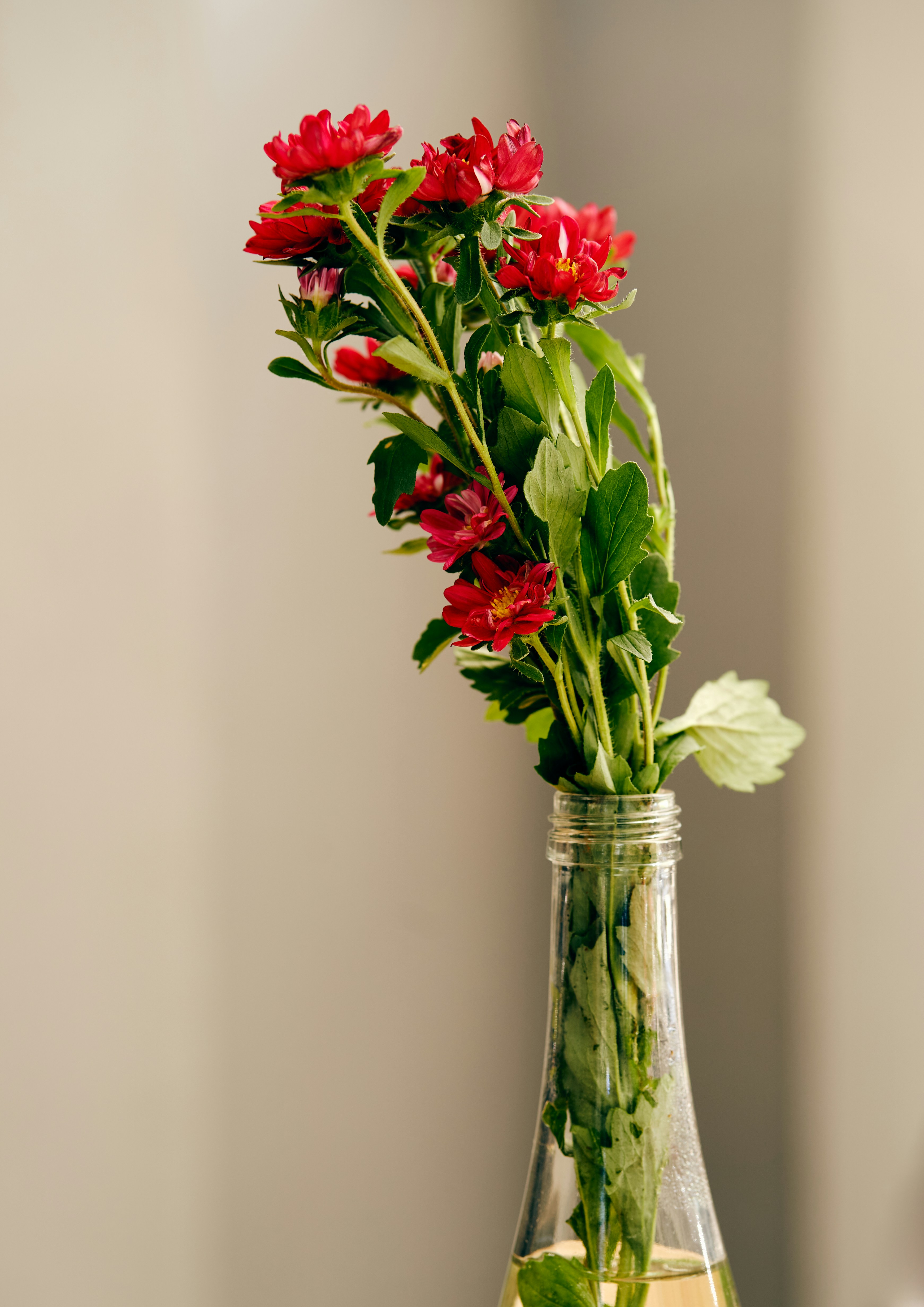 Photo by wonderland8