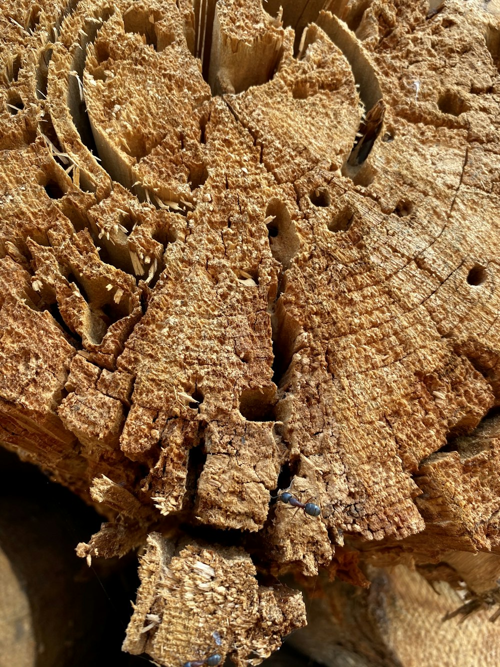 brown rock formation during daytime