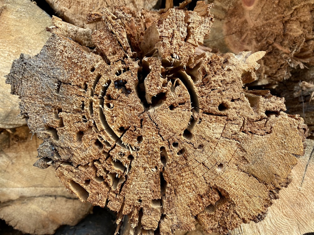 brown wooden heart carved decor