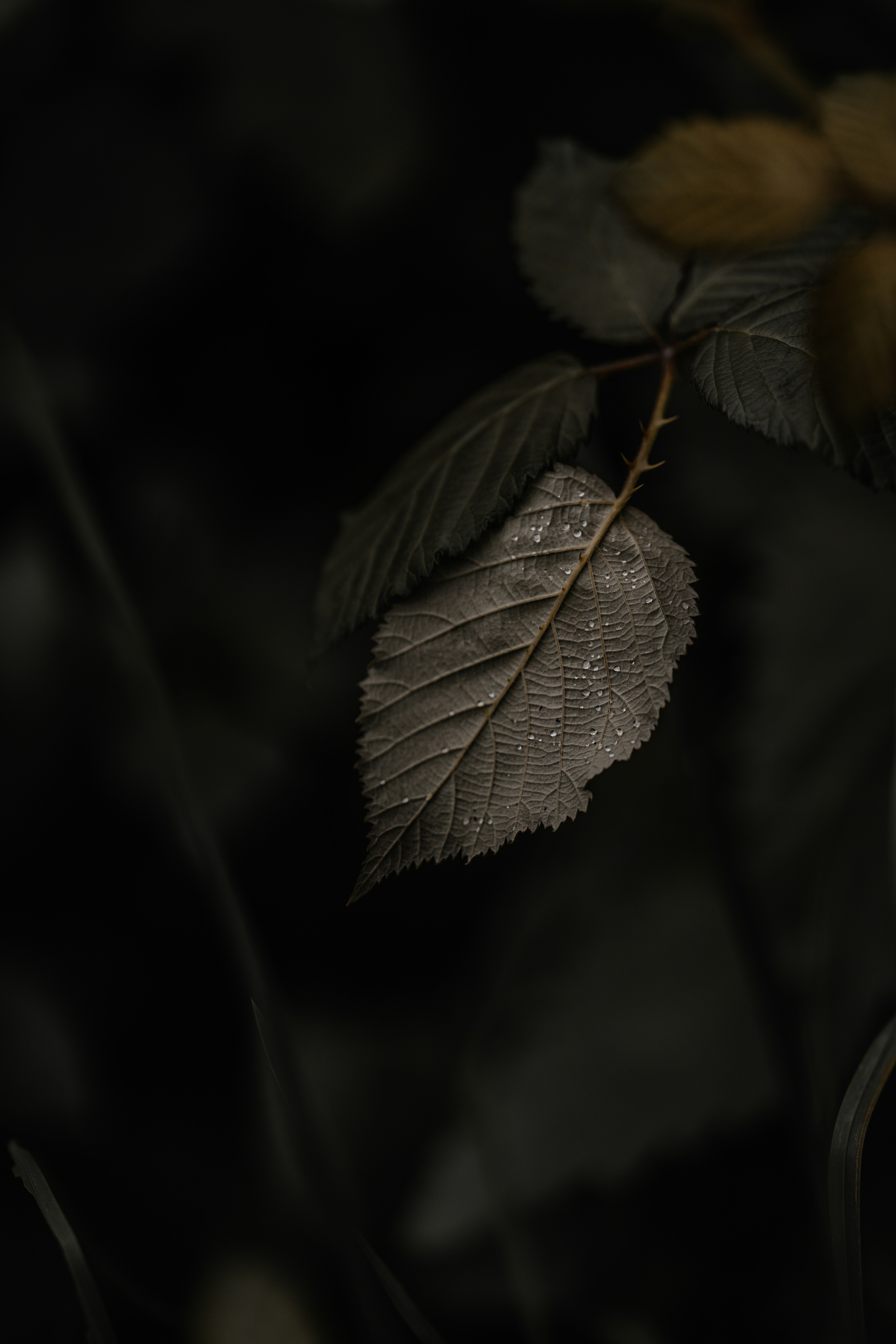 Photo by omarvellous14
