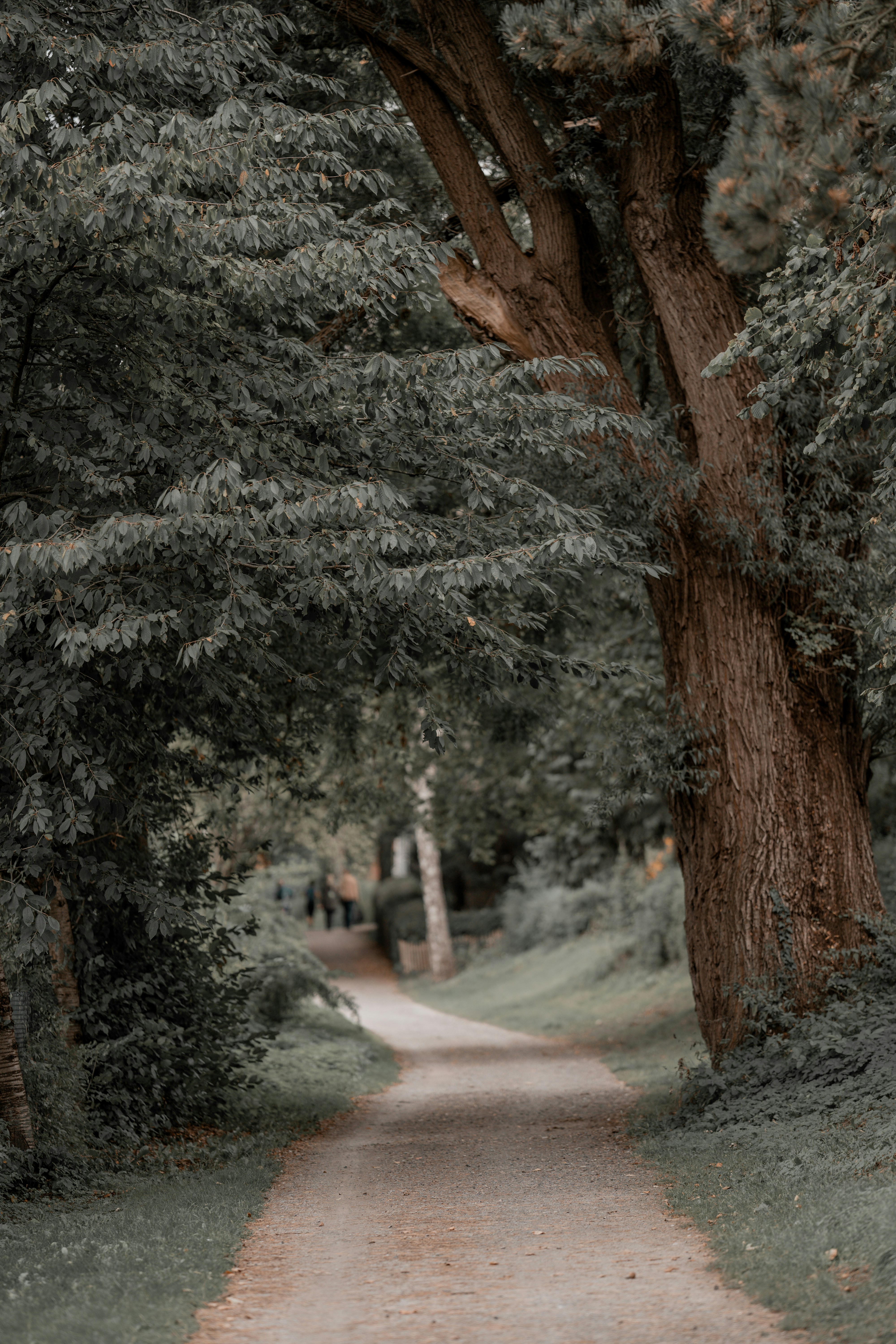 Photo by omarvellous14