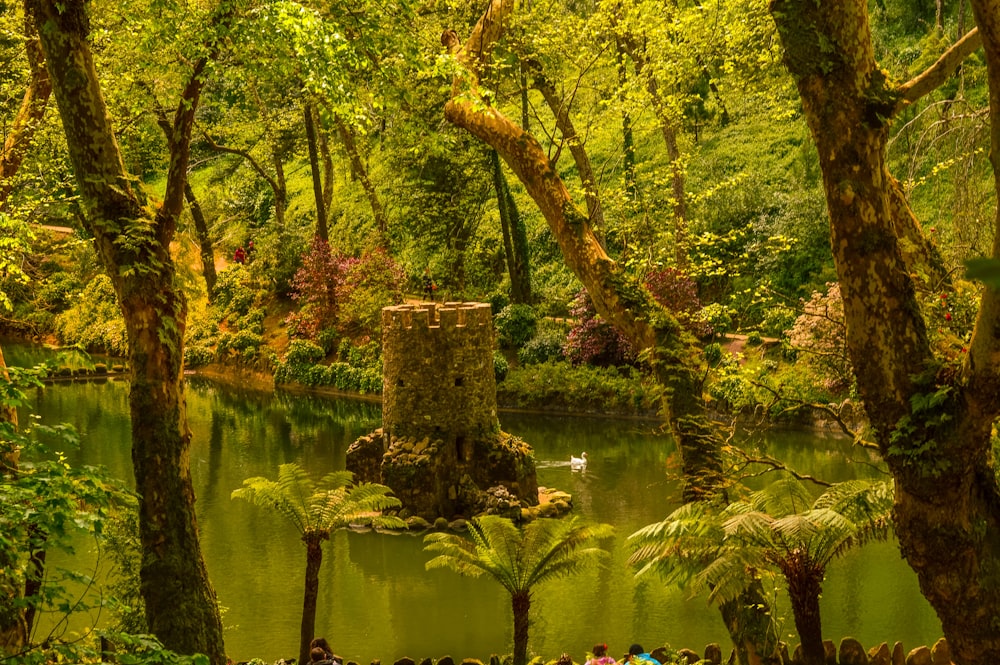 green trees on green grass field near body of water during daytime