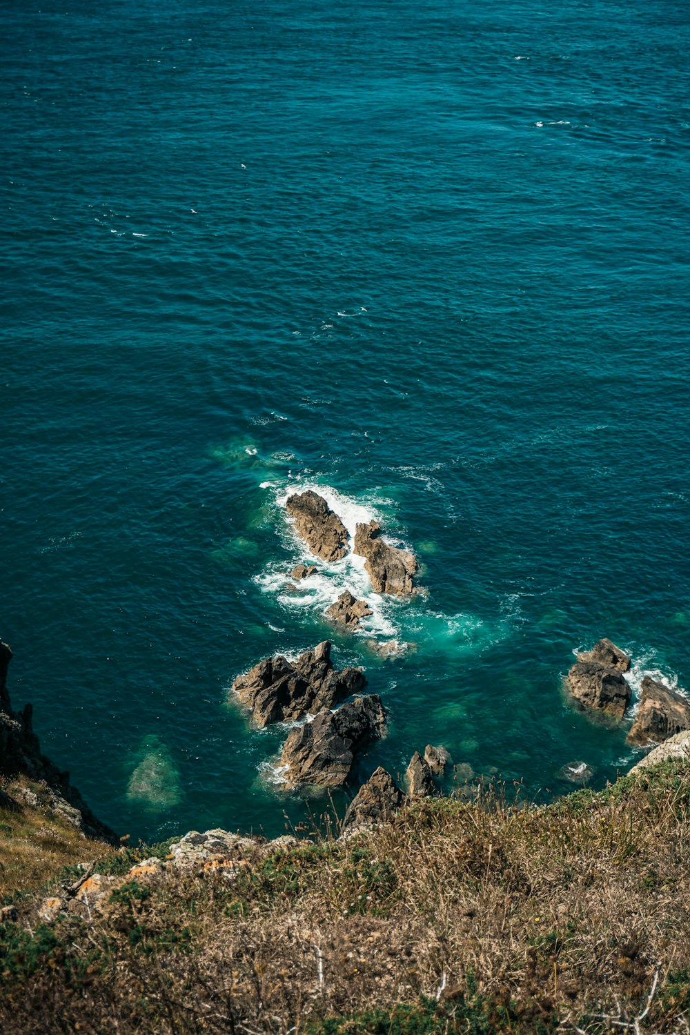 aerial view of sea during daytime