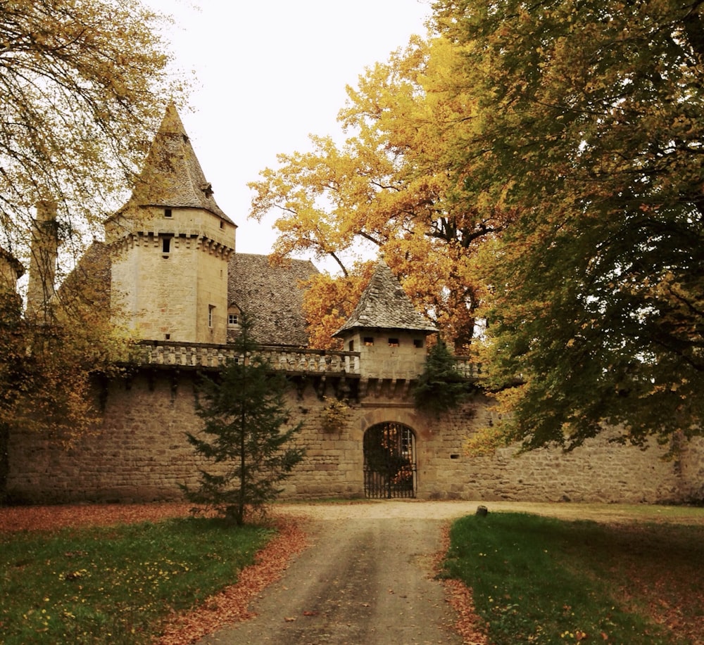 Bâtiment en béton brun près d’arbres verts pendant la journée