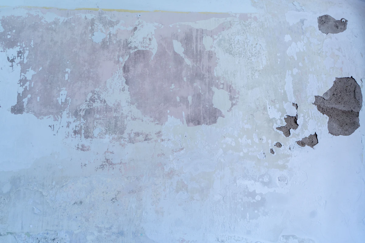 Water-damaged wall with peeling paint and plaster