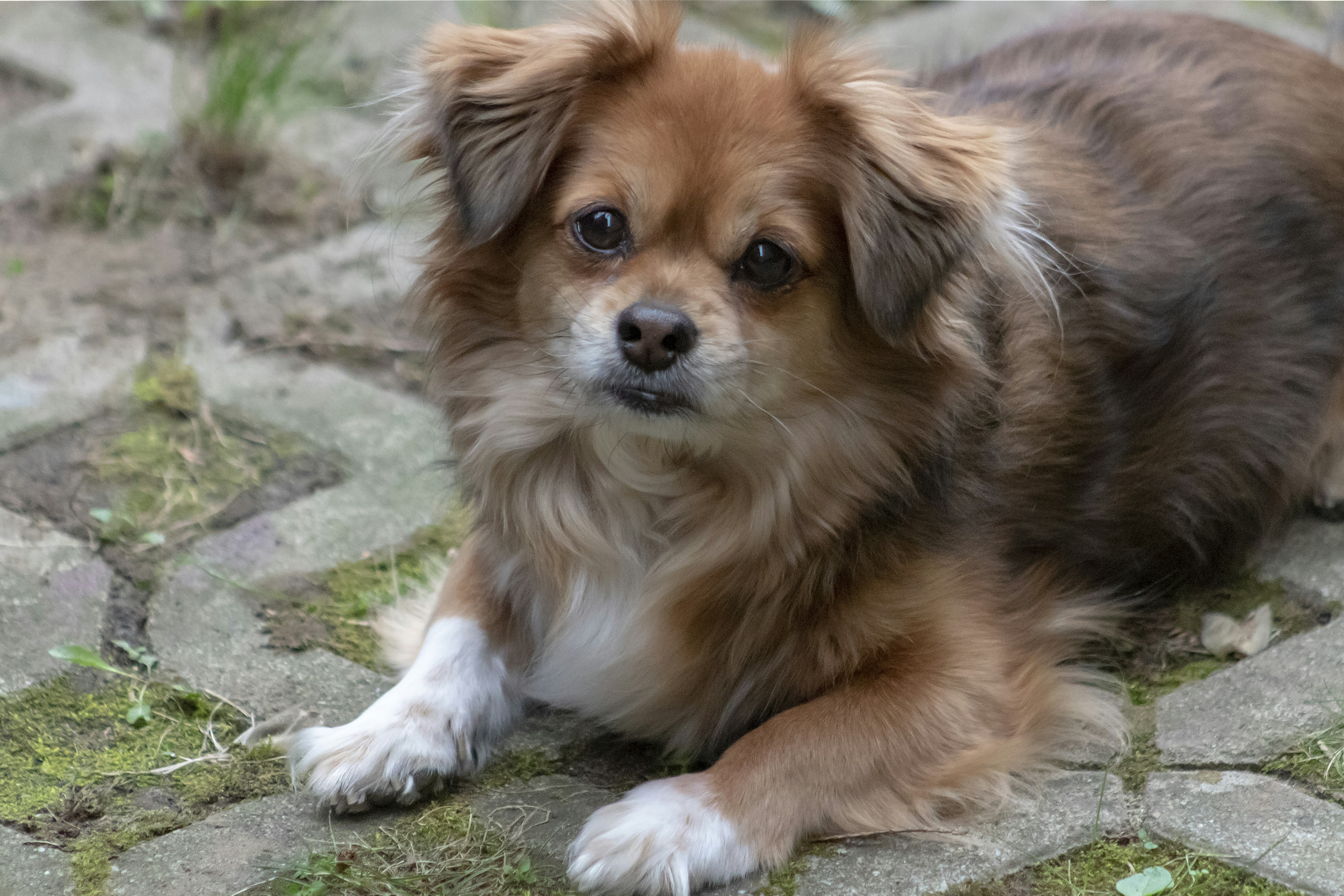 Gyor – Geography & Spatial Structure