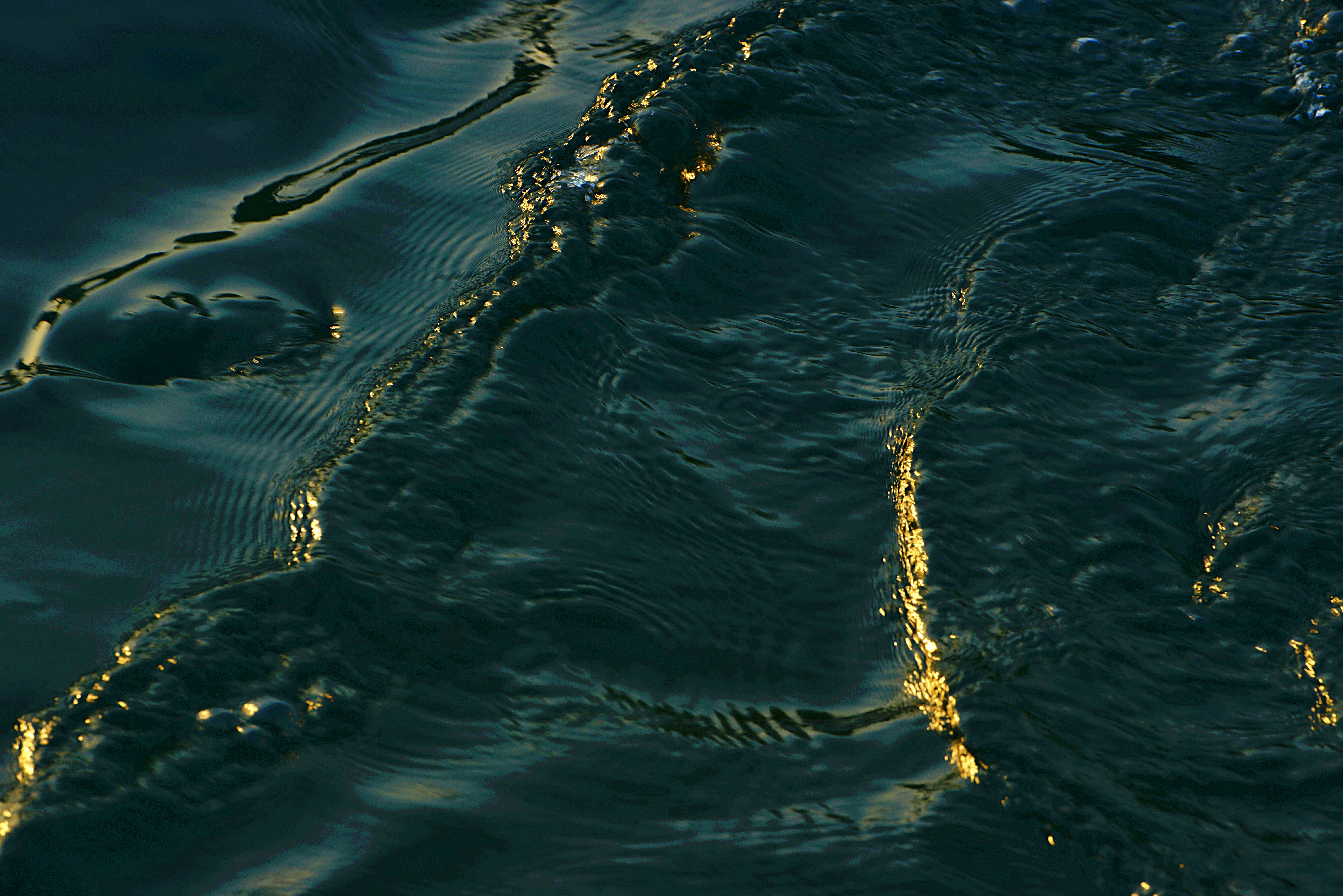 water droplets on body of water
