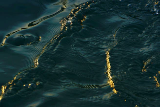 Golden sound waves rippling across a dark, moody background sprinkled with star-like sparkles.