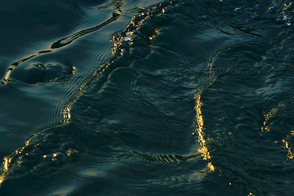 Golden sound waves rippling across a dark, moody background sprinkled with star-like sparkles.