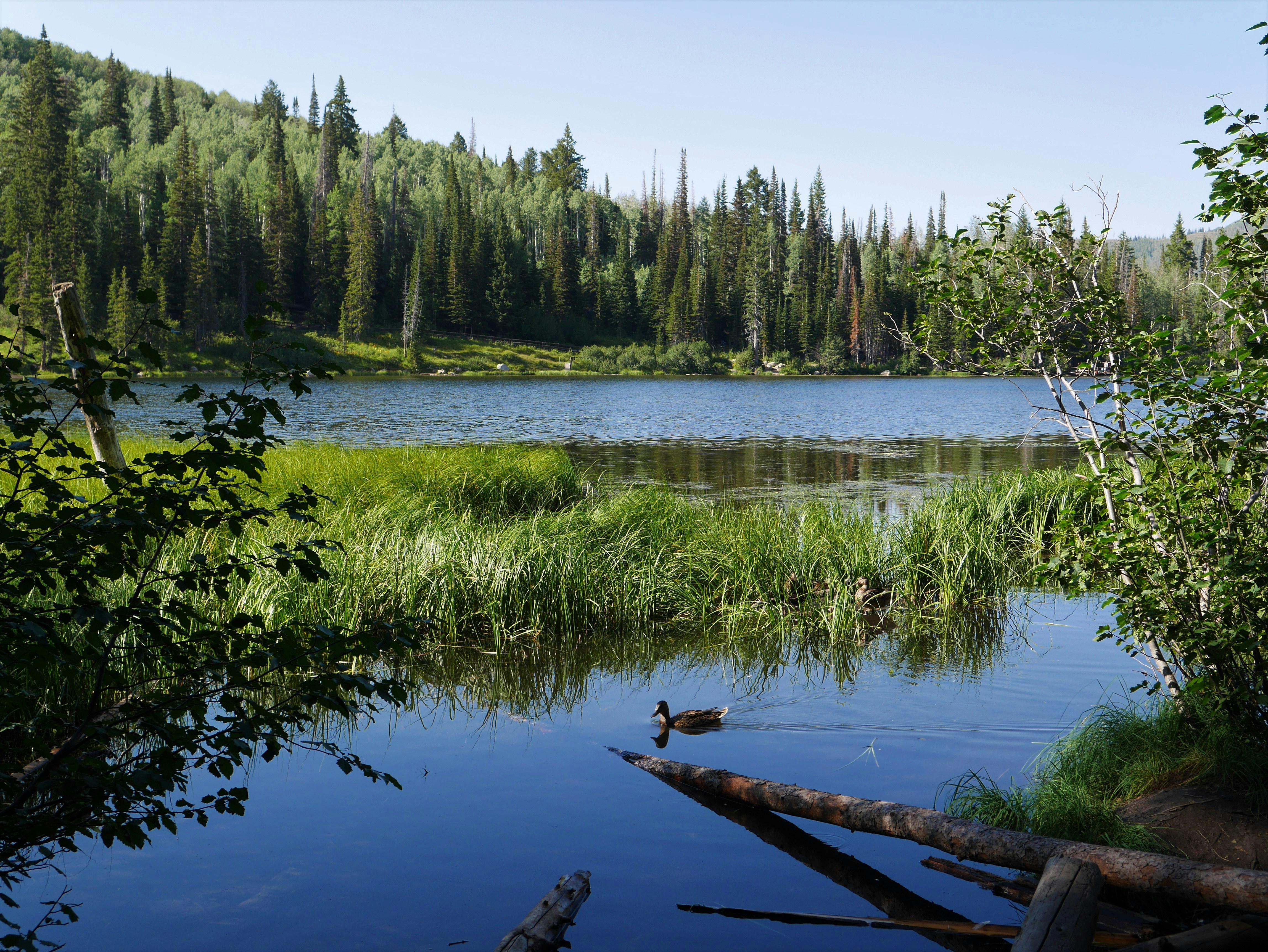 Photo by hannerspowell