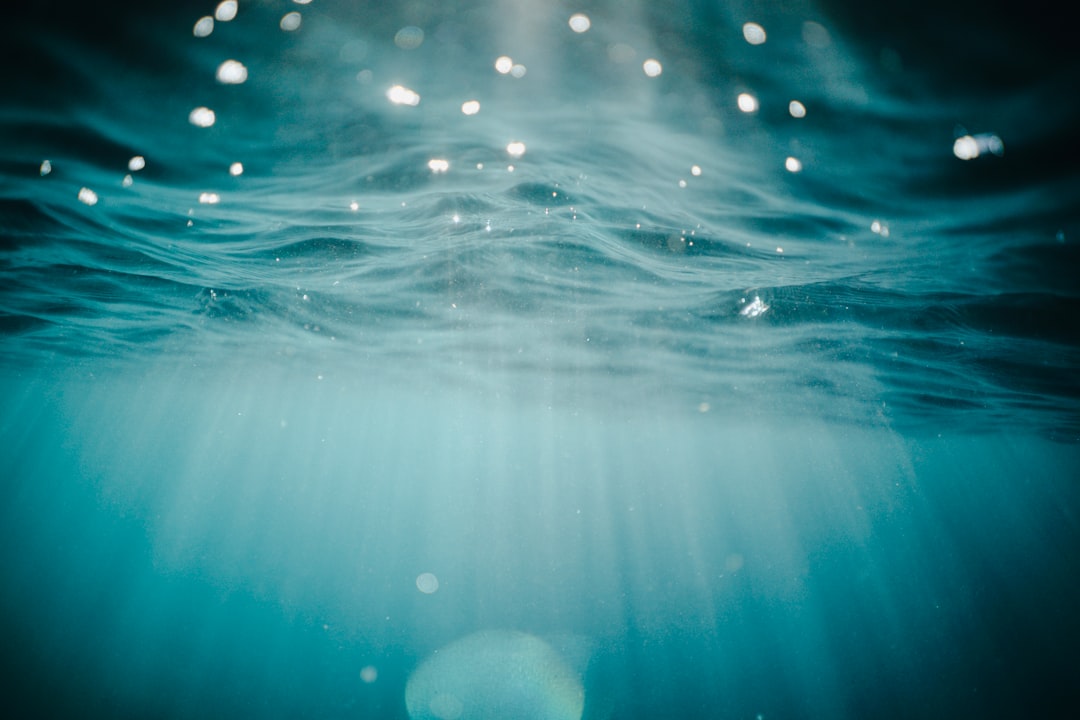 Underwater photo spot Nice France