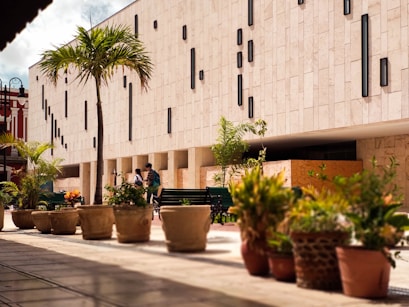 potted plants on the corner of the building
