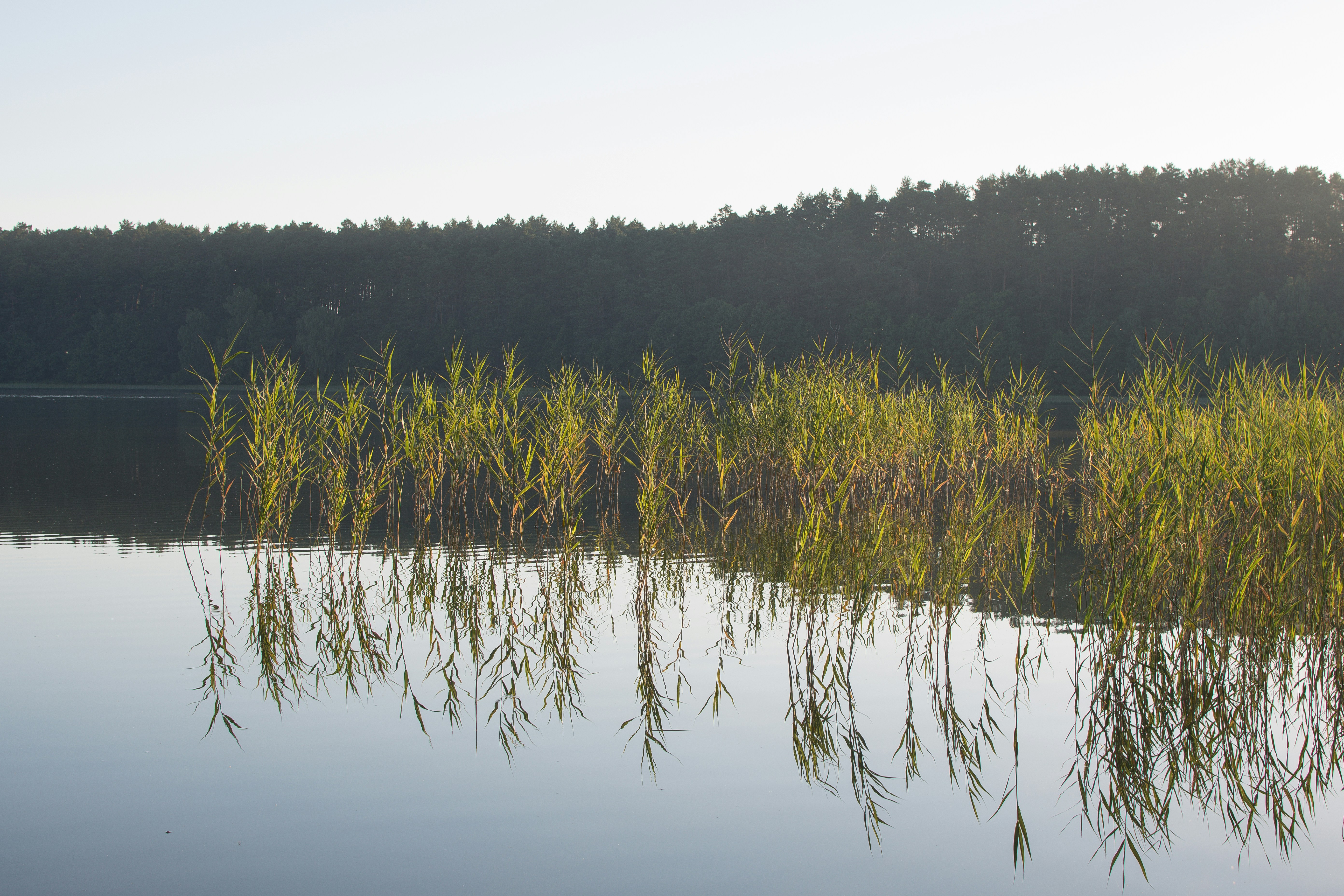 Photo by mparzuchowski