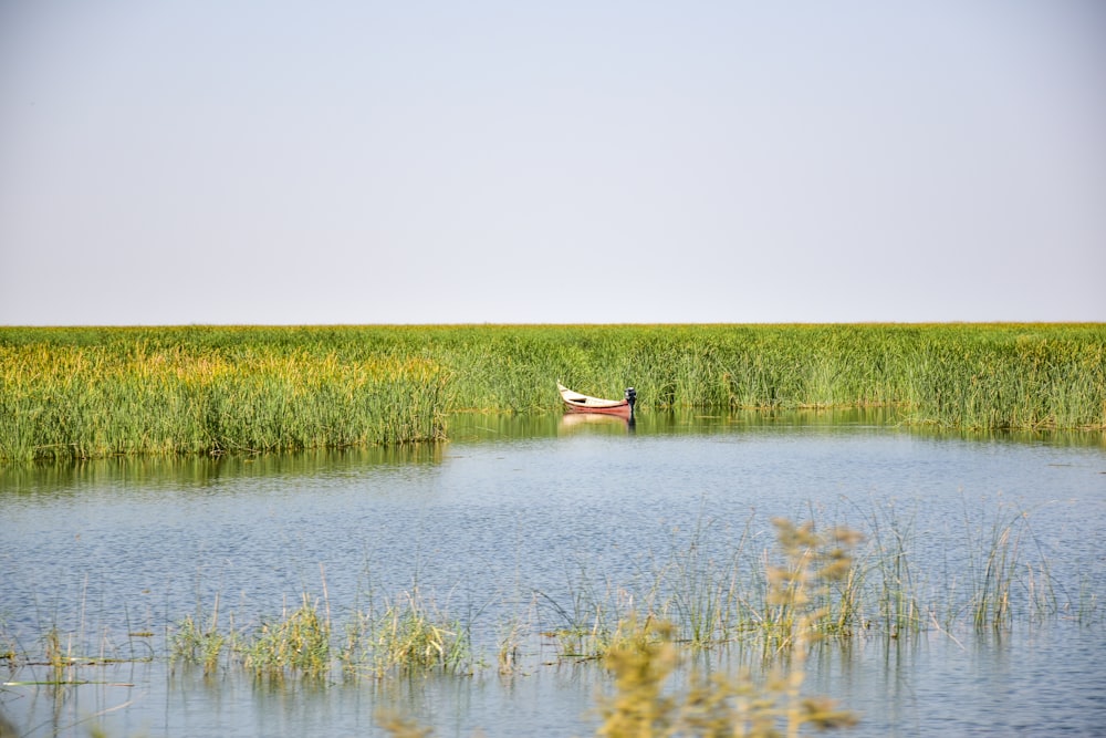 man in white shirt sitting on boat on lake during daytime
