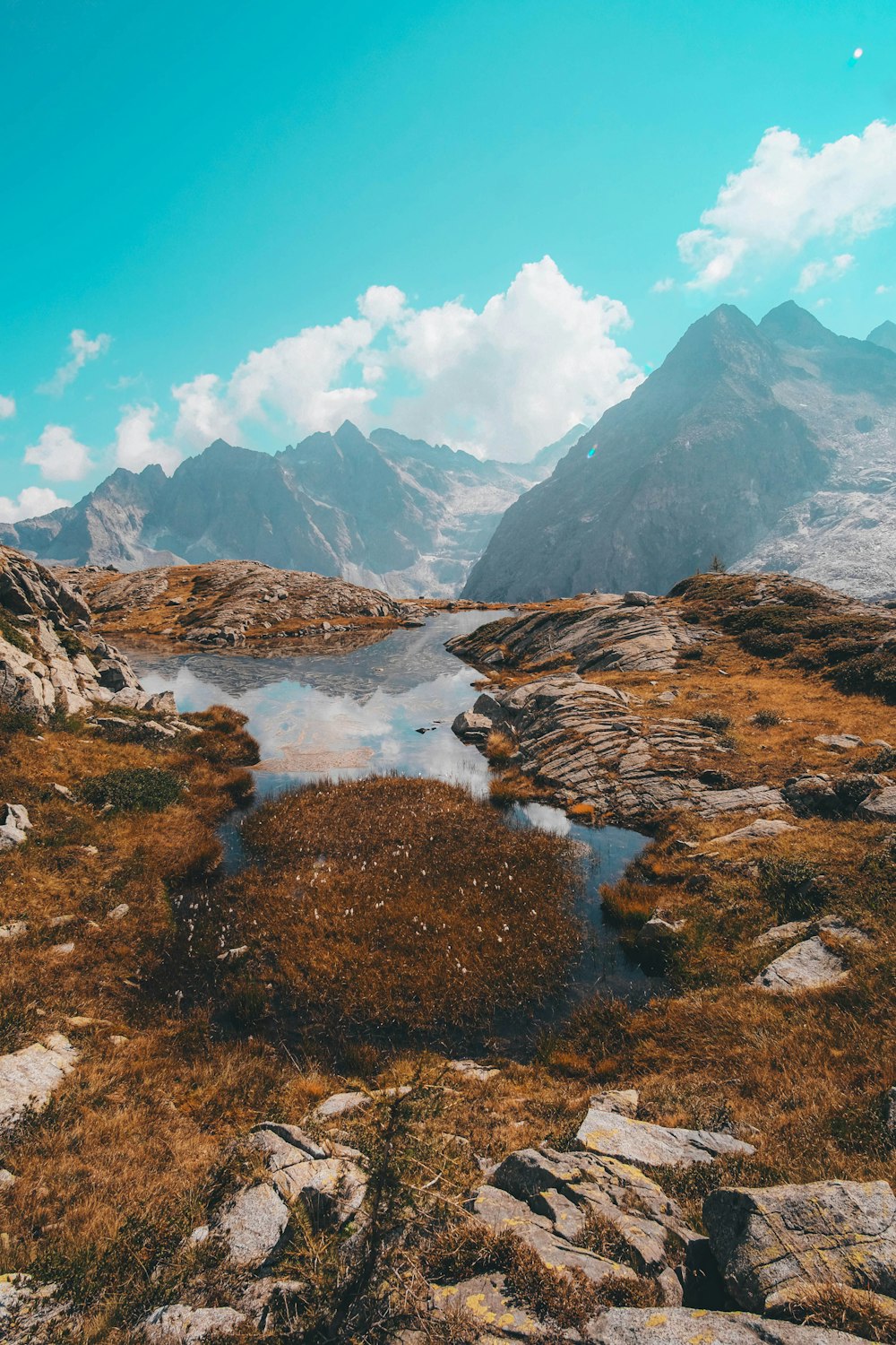 brown and green grass field near snow covered mountain during daytime