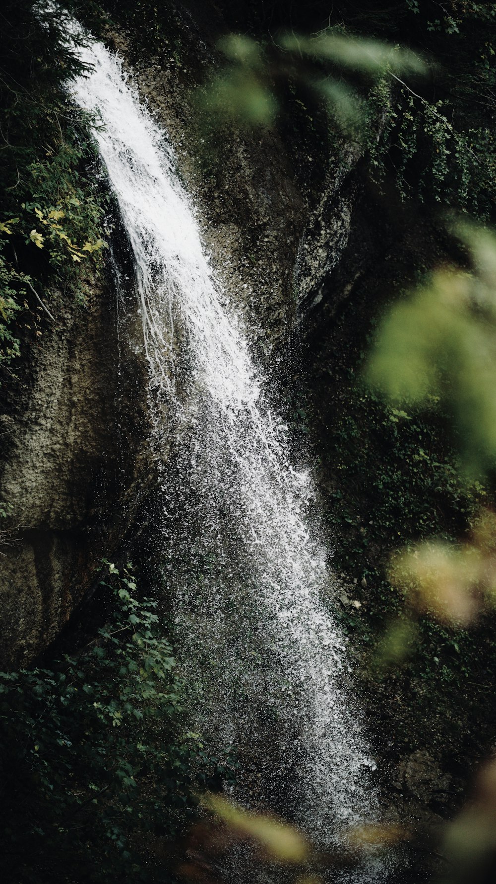 water falls in the forest