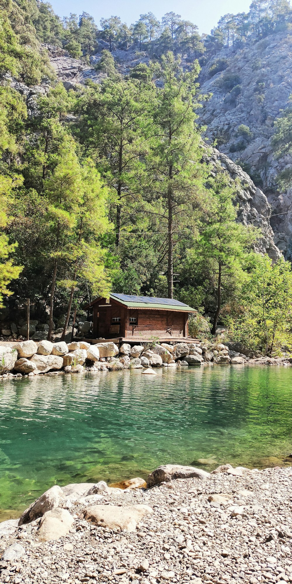 brown wooden house near green trees and body of water during daytime