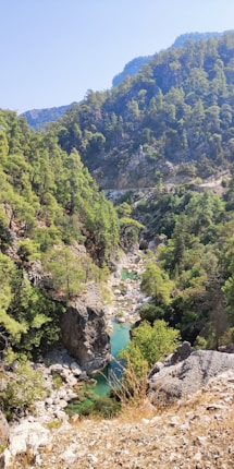 A lush green valley with a winding river flowing through rocky terrain. Tall trees and dense foliage cover the steep hillsides, with sunlight filtering through the canopy. The river appears clear with a turquoise hue, surrounded by large rocks and boulders.