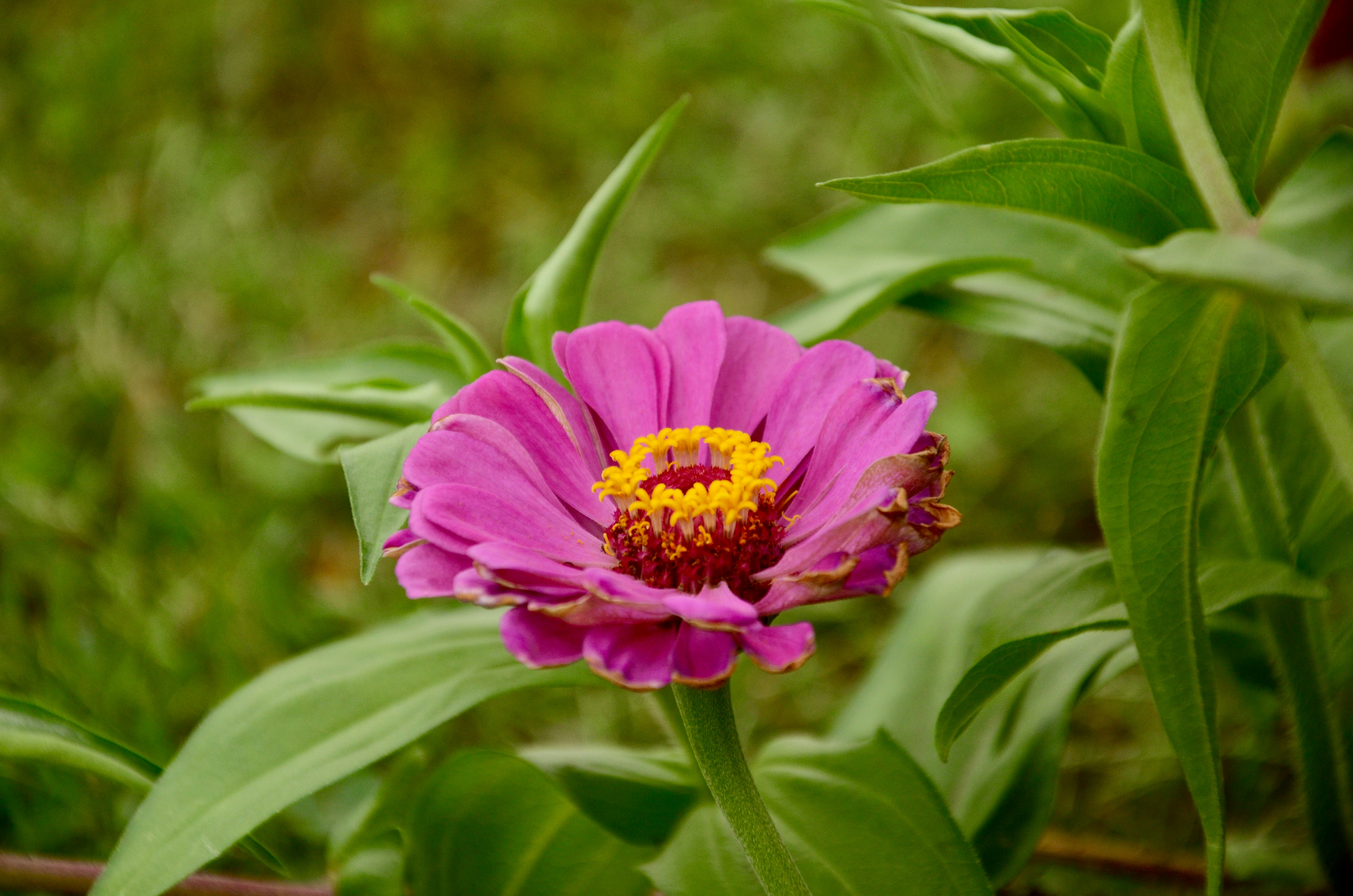 Photo by lifeinspired