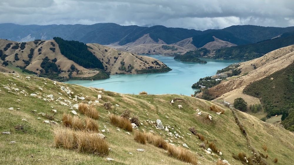 a view of a lake and mountains from a hill