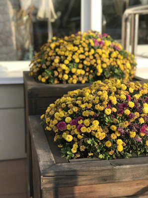 A rustic wooden planter overflowing with vibrant flowers on a sunny patio.