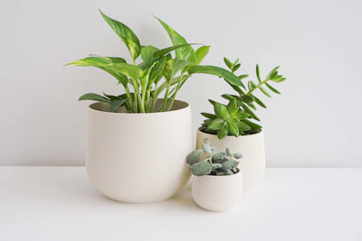 Stacked stoneware planters with subtle glaze variations, filled with green plants.