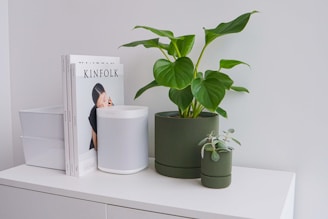 On a white surface, there is a neatly organized setup with two white storage boxes, a stack of three Kinfolk magazines, a white smart speaker, and two potted green plants. The plants are in dark green ribbed pots, and the larger plant has large heart-shaped leaves.