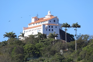 A large white colonial-style building with a terracotta roof is situated on a lush green hill surrounded by palm trees. Birds are flying in the blue sky.