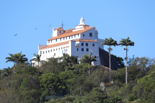 A large white colonial-style building with a terracotta roof is situated on a lush green hill surrounded by palm trees. Birds are flying in the blue sky.