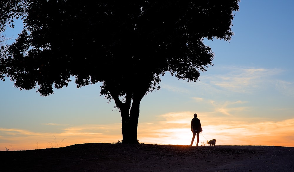 man and woman standing beside tree during sunset