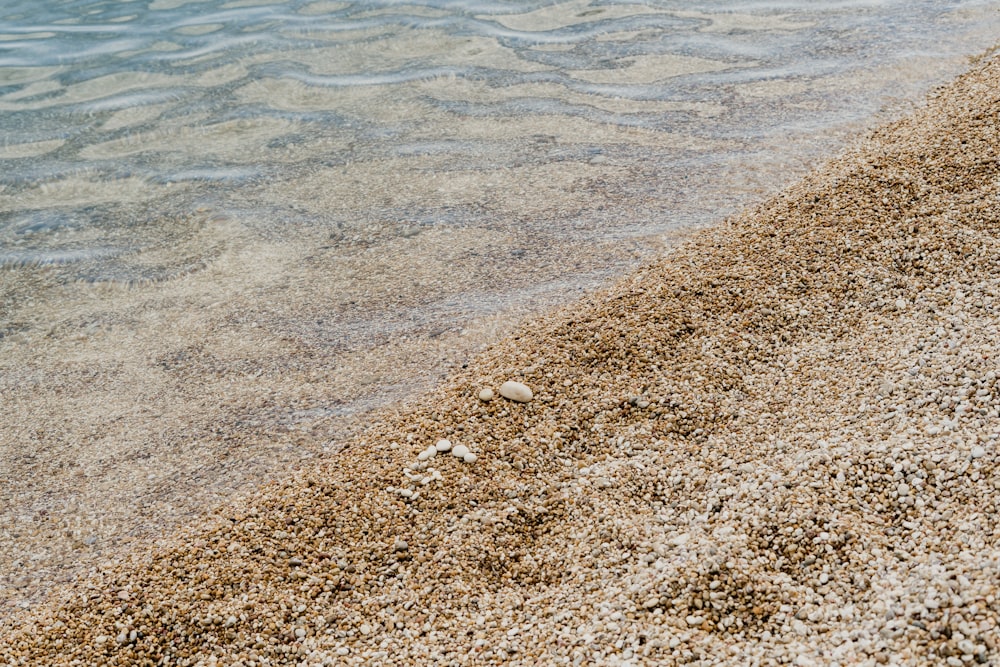 white and brown stones on seashore during daytime
