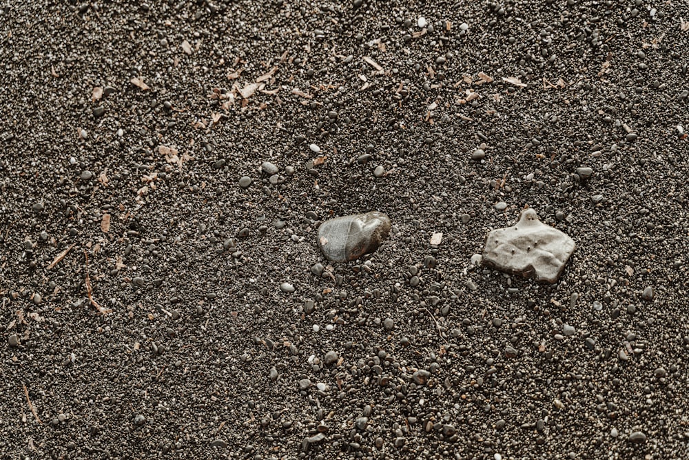 Piedra blanca y gris sobre suelo marrón