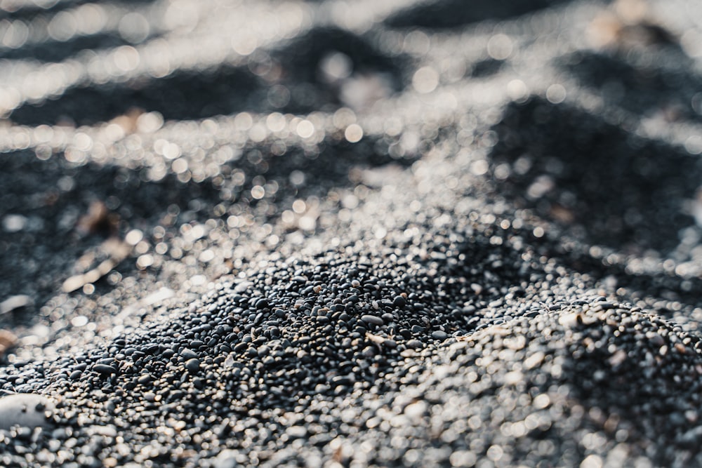 black and white pebbles on the ground