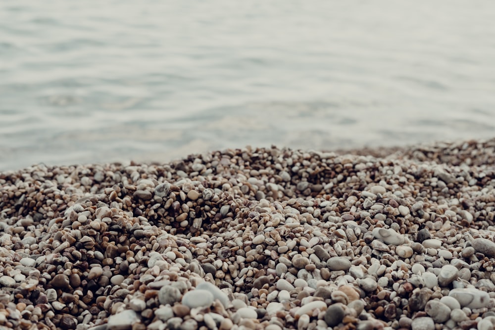 brown and white pebbles near body of water during daytime