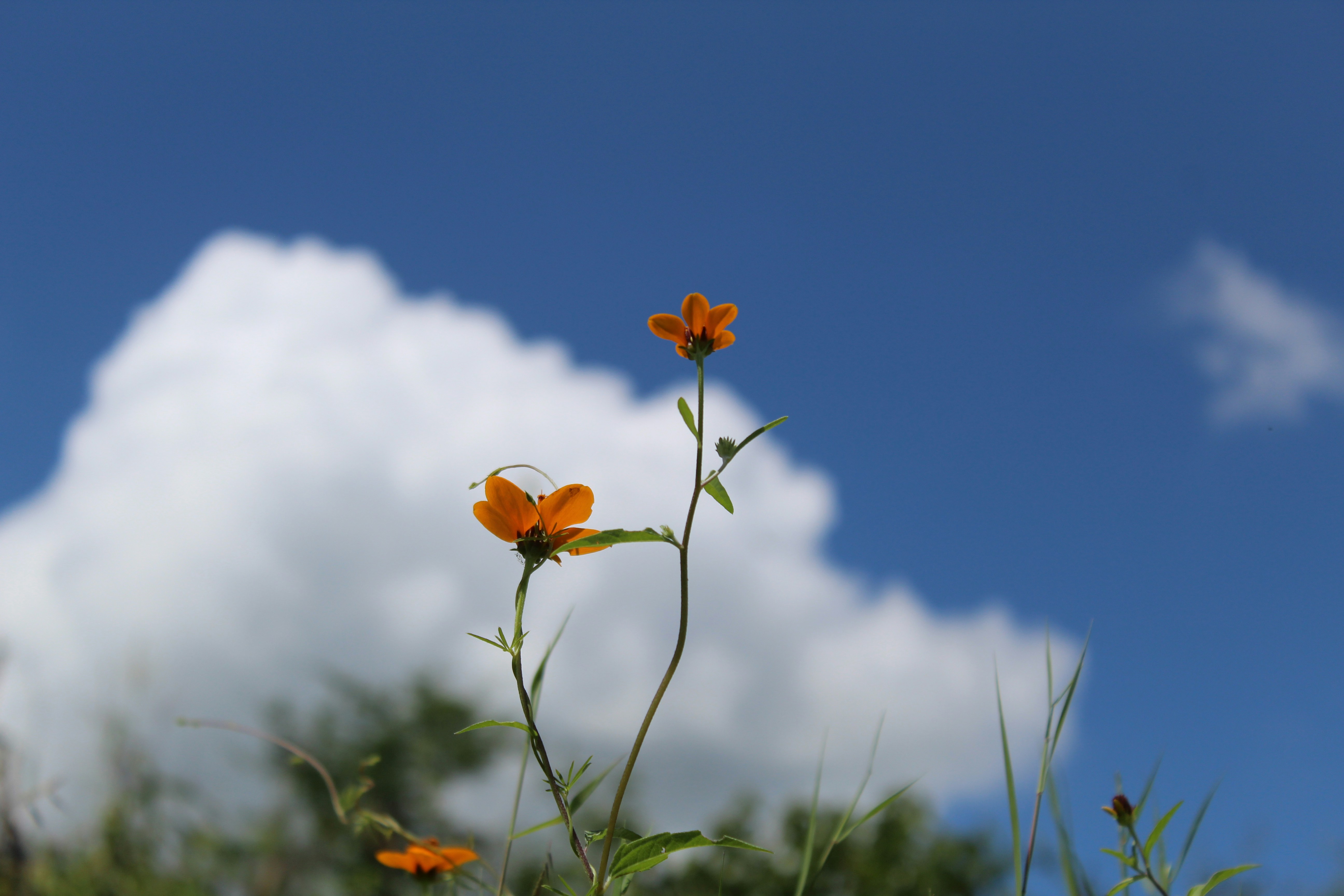 Photo by jmanuelsalinas