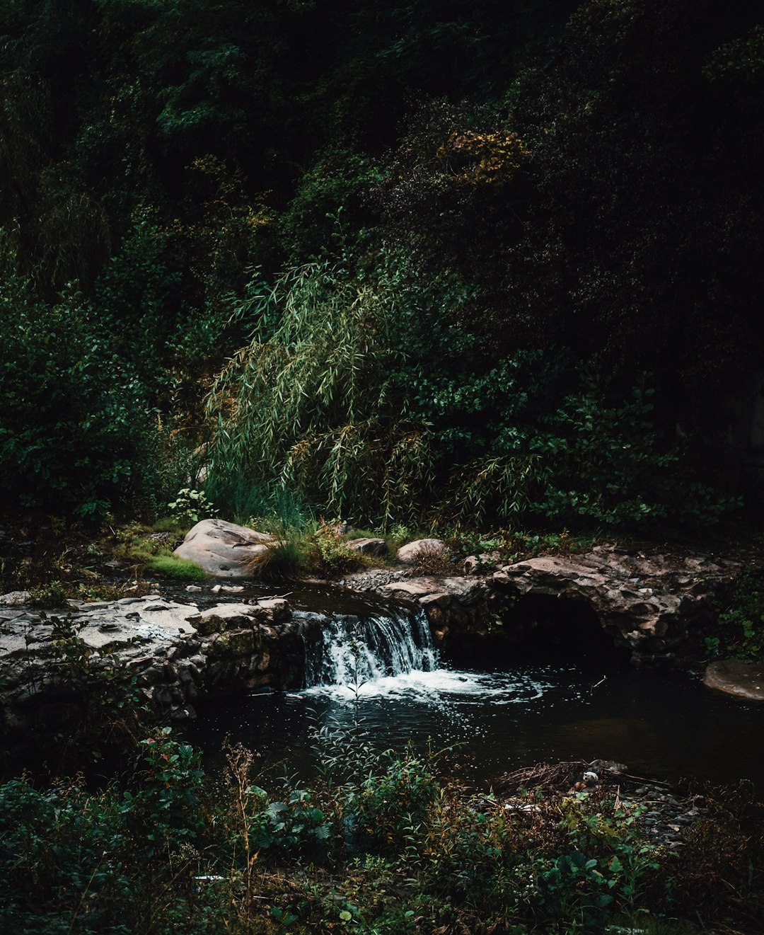 Waterfall photo spot Nehoiu Romania