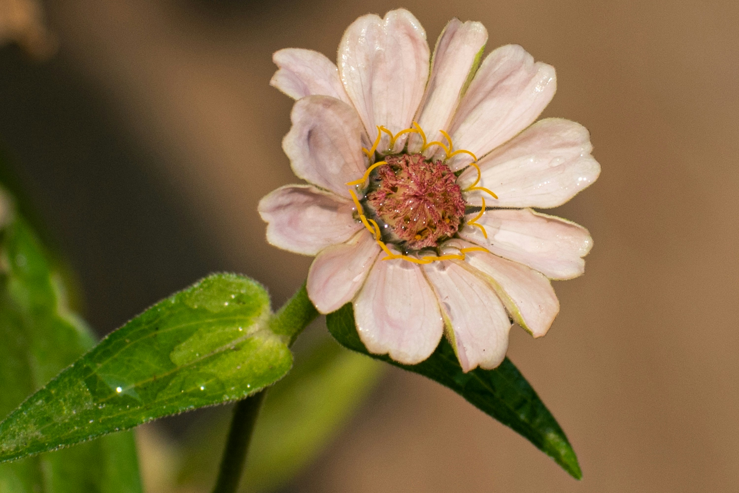 Photo by elisastonephotography