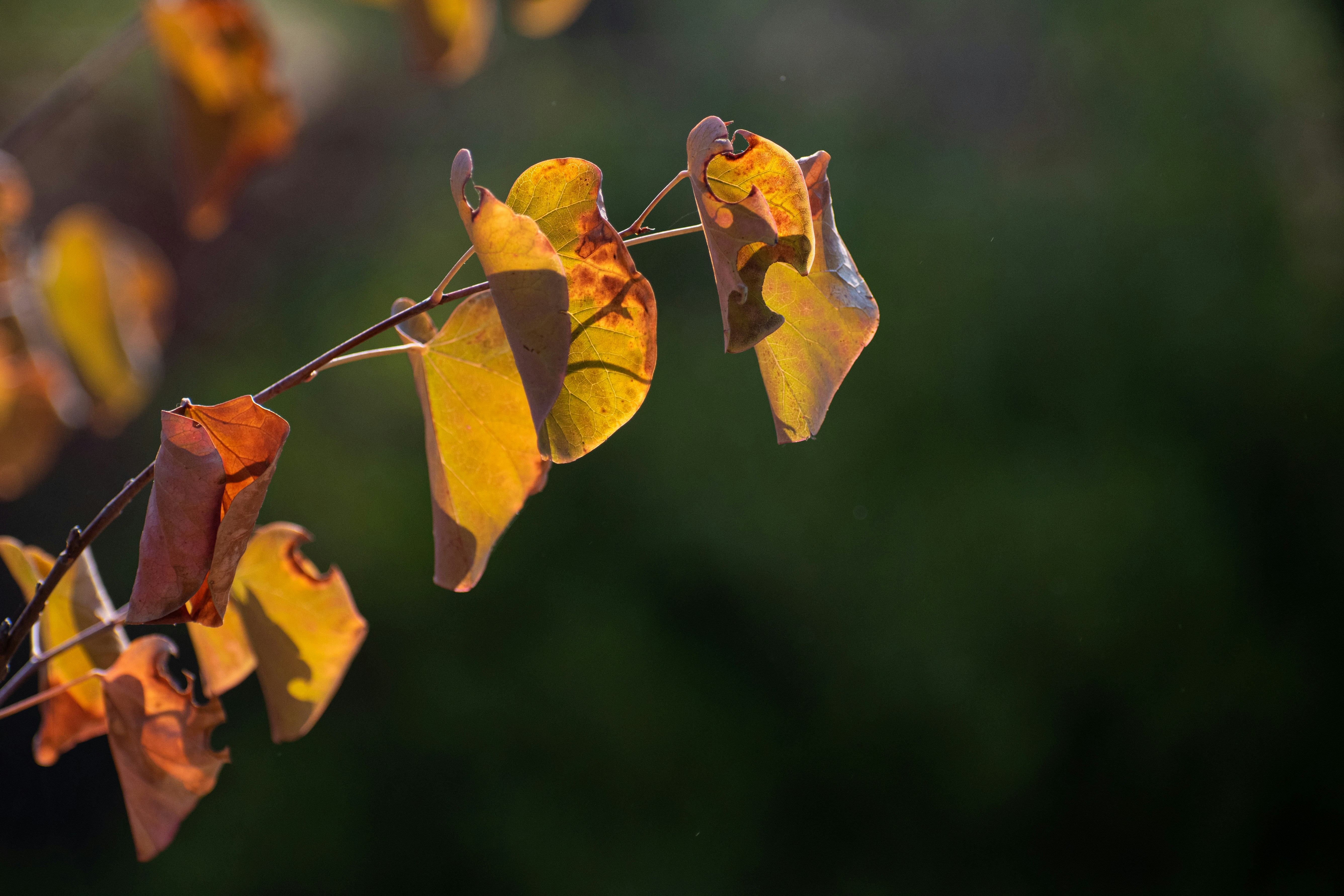 Photo by elisastonephotography