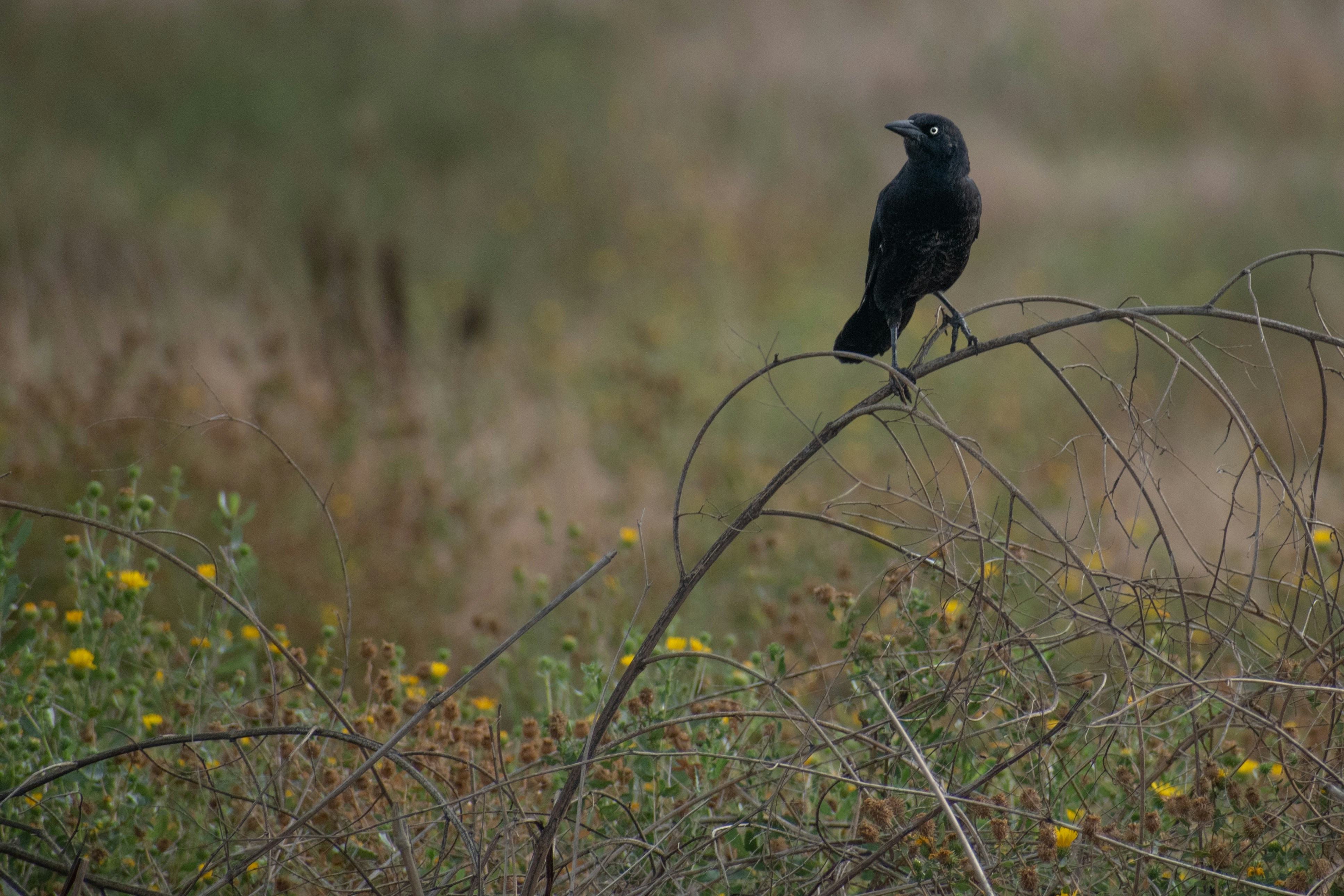 Photo by elisastonephotography