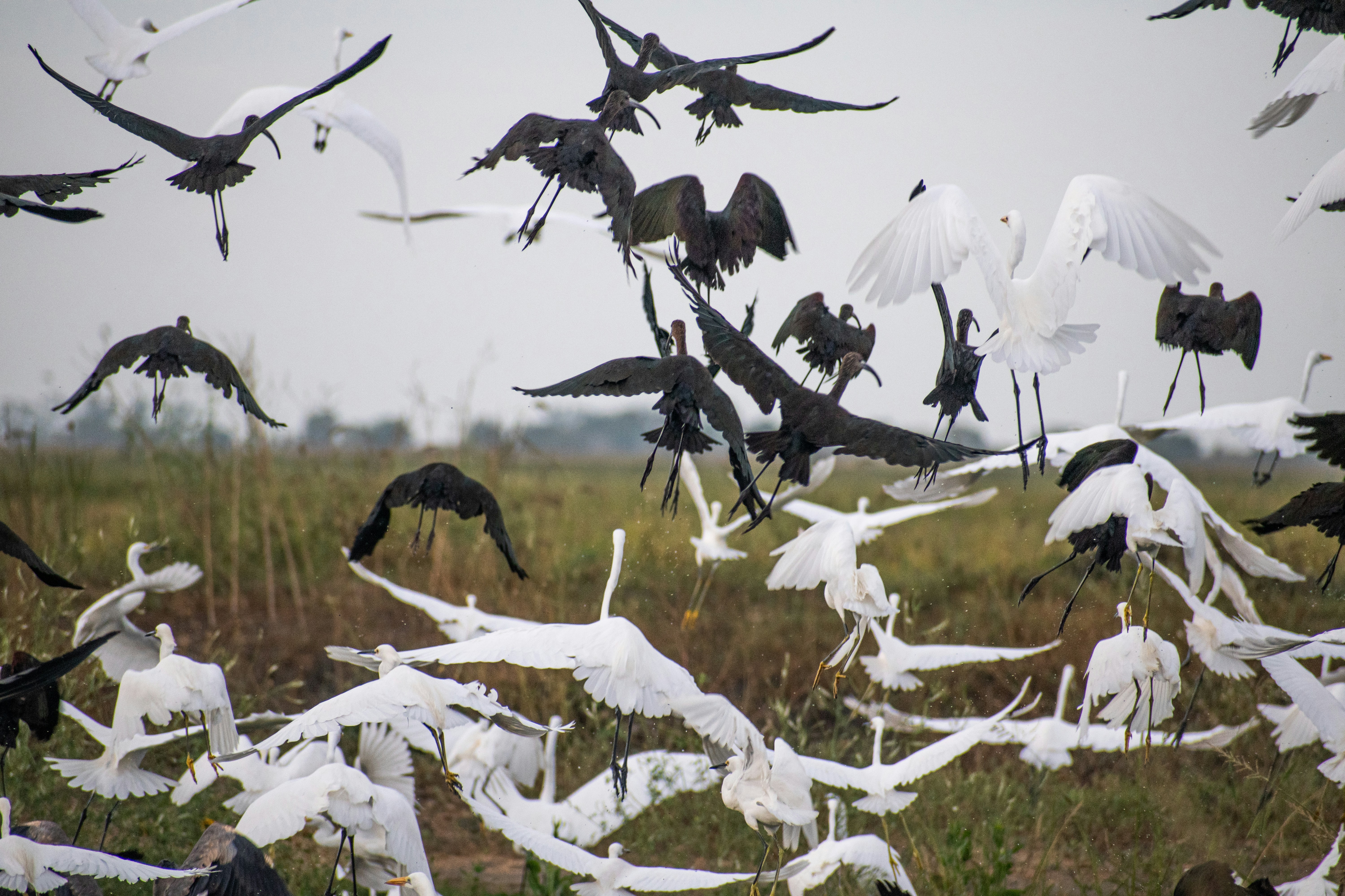 Photo by elisastonephotography