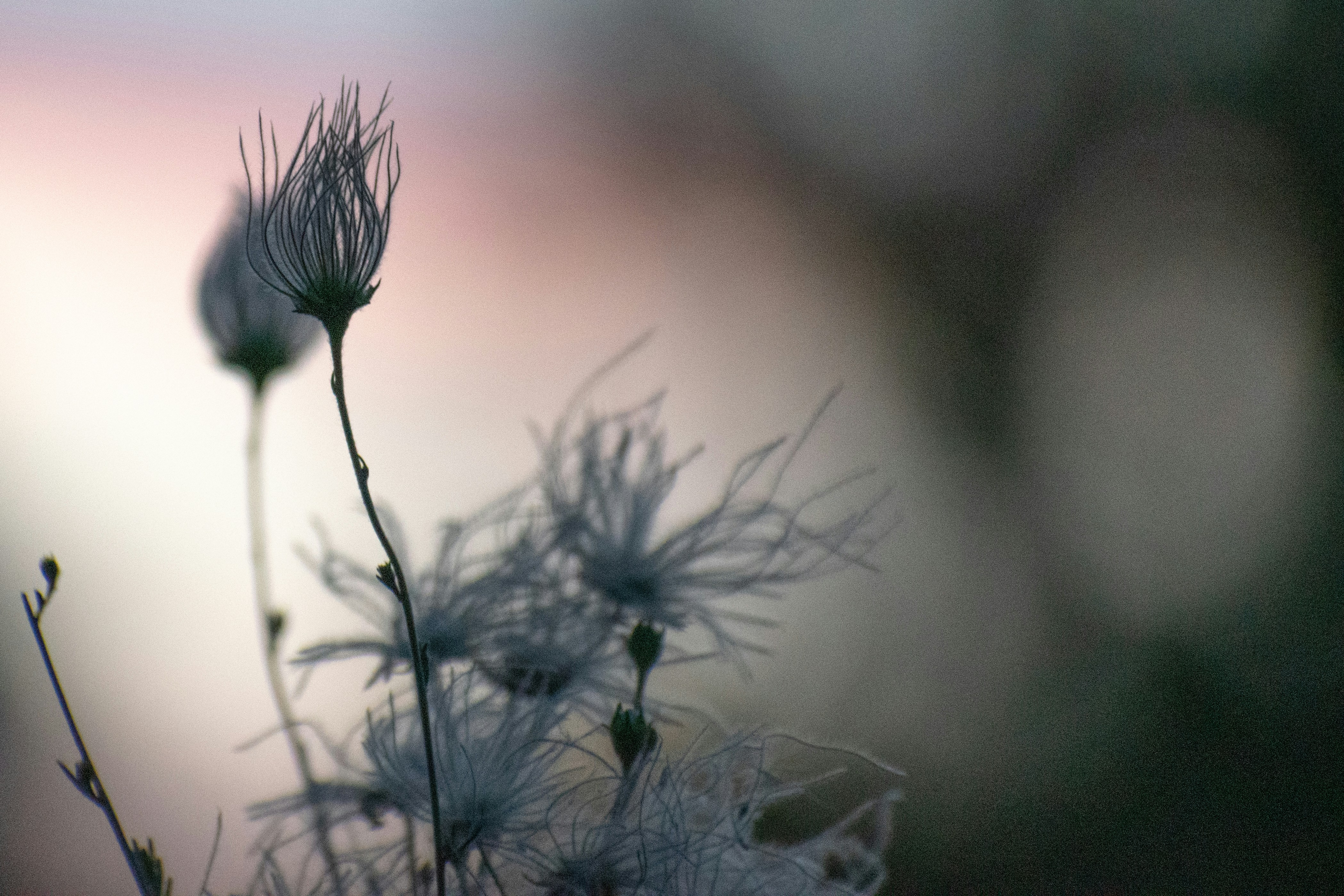 Photo by elisastonephotography