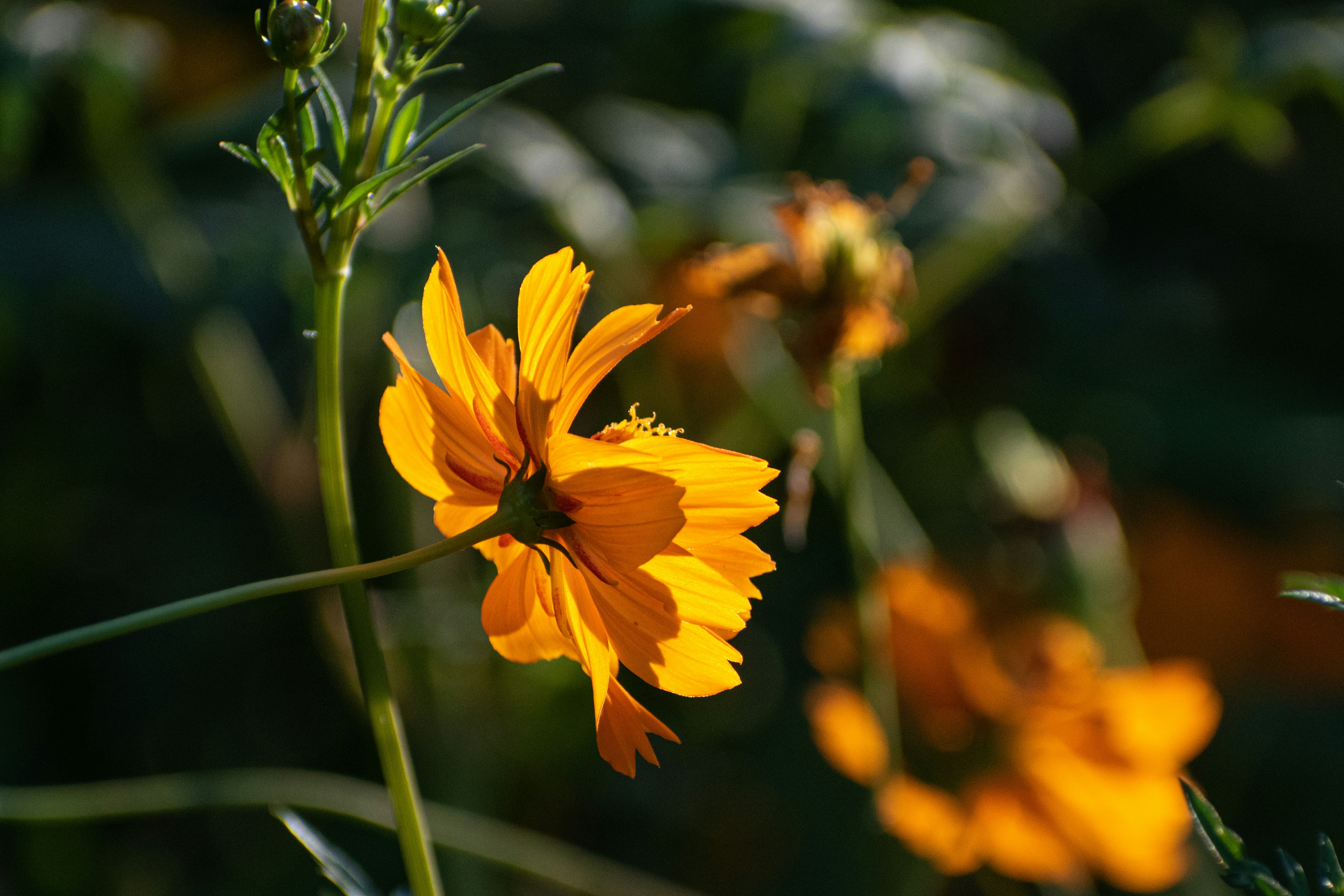 Photo by elisastonephotography