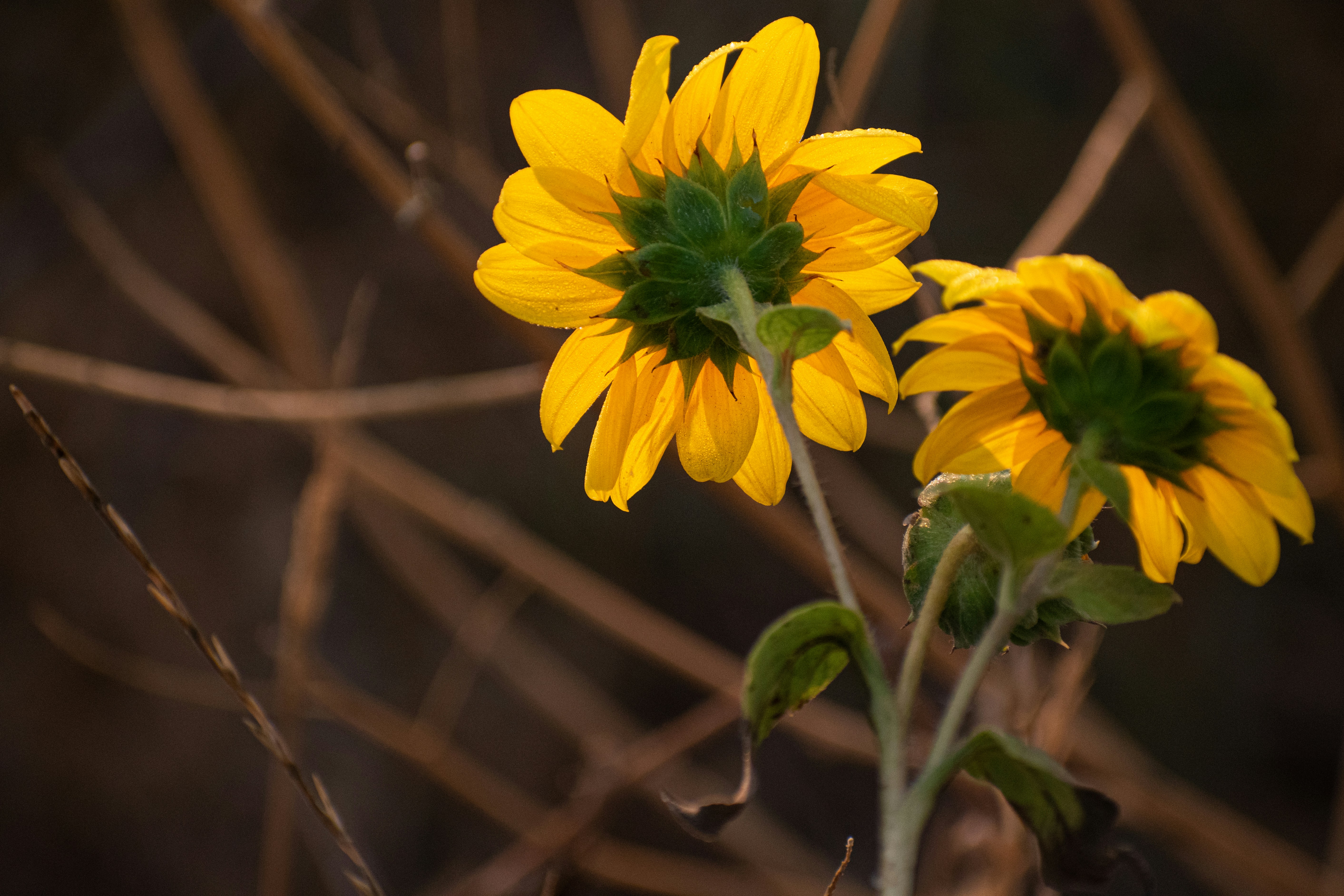 Photo by elisastonephotography