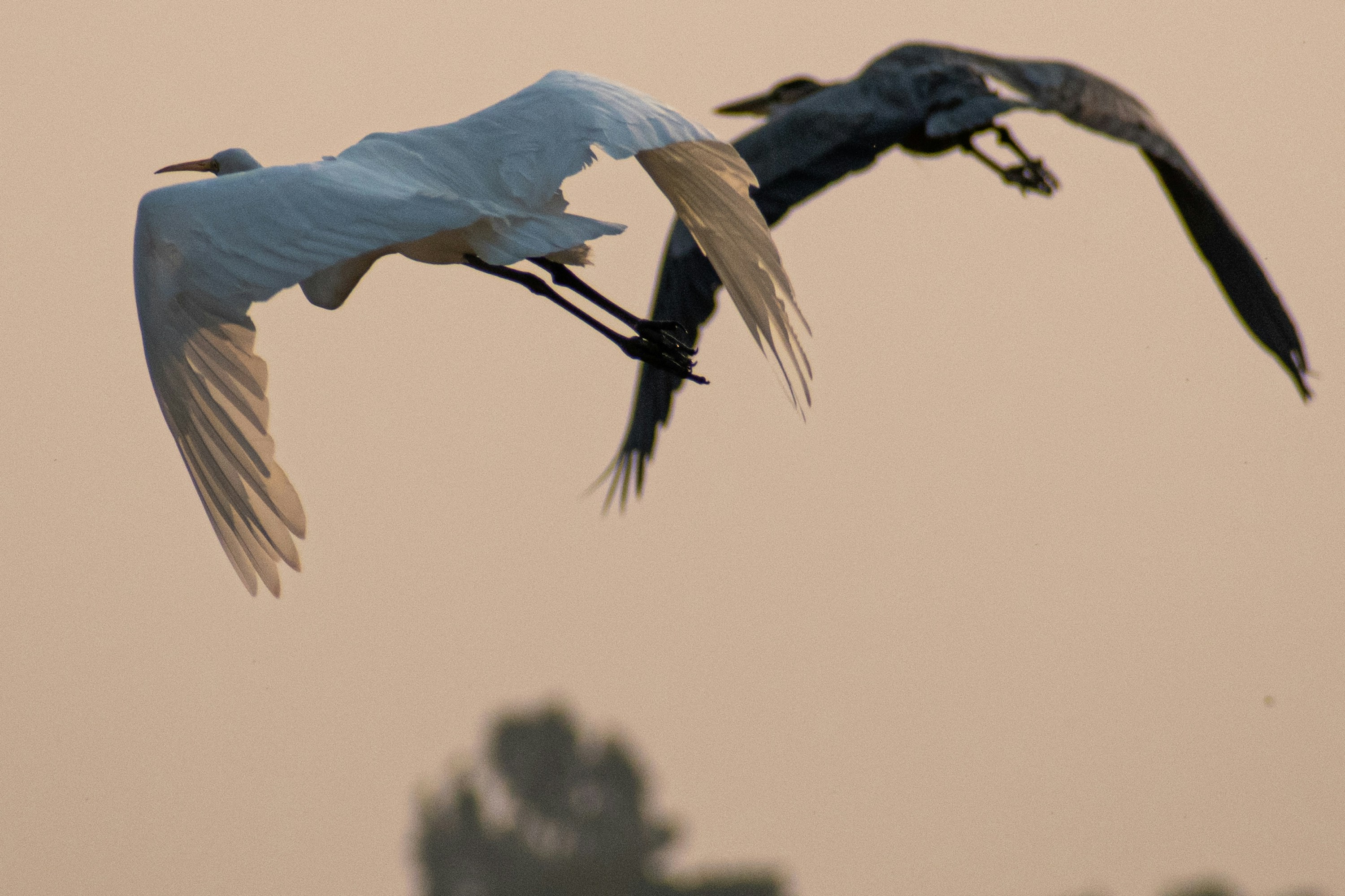 Photo by elisastonephotography